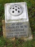 image of grave number 489584
